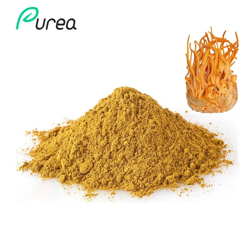 Powdwr Cordycepin